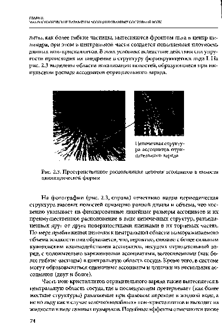 Пространственное расположение цепочек ассоциатов в емкости цилиндрической формы