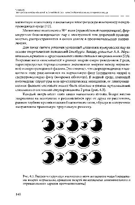 Вихревая структура магнитного поля ассоциатов воды (сердцевины вихрей нормальны, вращение вихрей на ассоциатах положительного и отрицательного зарядов противоположны)