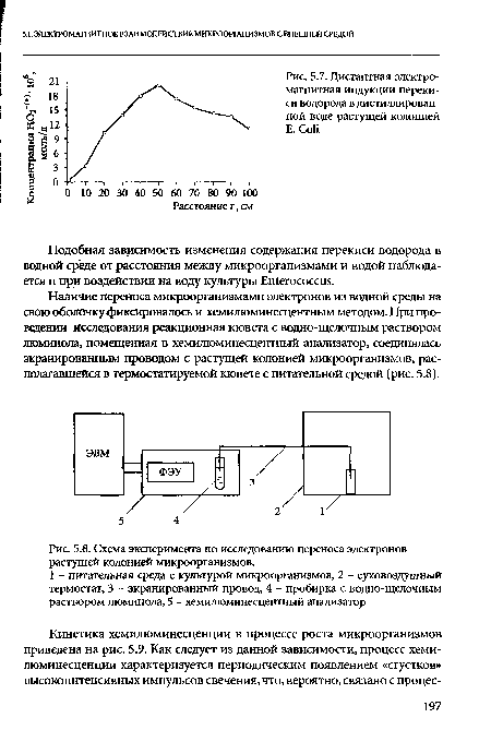 Дистантная электромагнитная индукции перекиси водорода в дистиллированной воде растущей колонией E. Coli
