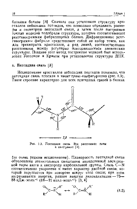 Пептидная связь. Все расстояния даны в ангстремах [3],