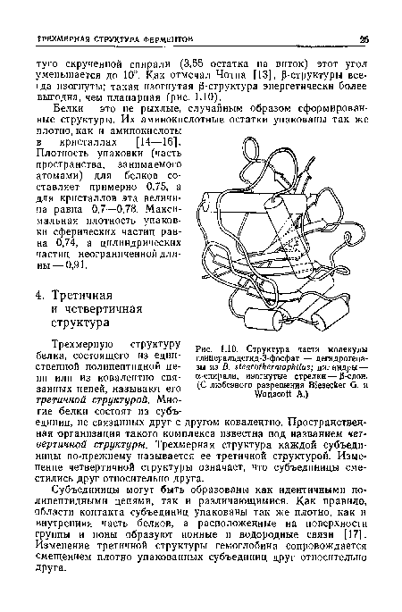 Плотность упаковки (часть пространства, занимаемого атомами) для белков составляет примерно 0,75, а для кристаллов эта величина равна 0,7—0,78. Максимальная плотность упаковки сферических частиц равна 0,74, а цилиндрических частиц неограниченной длины — 0,91.