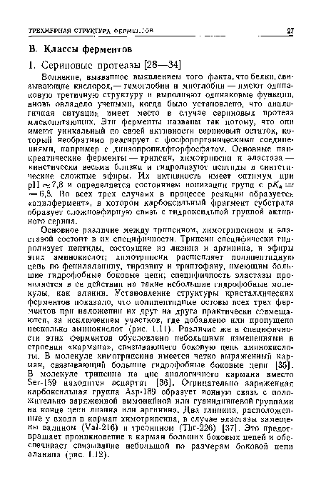 Волнение, вызванное выявлением того факта, что белки, связывающие кислород,— гемоглобин и миоглобин — имеют одинаковую третичную структуру и выполняют одинаковые функции, вновь овладело учеными, когда было установлено, что аналогичная ситуация имеет место в случае сериновых протеаз млекопитающих. Эти ферменты названы так потому, что они имеют уникальный по своей активности сериновый остаток, который необратимо реагирует с фосфорорганическими соединениями, например с диизопропилфторфосфатом. Основные панкреатические ферменты — трипсин, химотрипсин и эластаза — кинетически весьма близки и гидролизуют пептиды и синтетические сложные эфиры. Их активность имеет оптимум при РН 7,8 и определяется состоянием ионизации групп с рК = = 6,8. Во всех трех случаях в процессе реакции образуется «ацилфермент», в котором карбоксильный фрагмент субстрата образует сложноэфирную связь с гидроксильной группой активного серина.