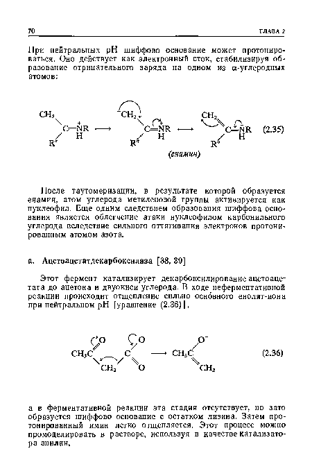 После таутомеризации, в результате которой образуется енамин, атом углерода метиленовой группы активируется как нуклеофил. Еще одним следствием образования шиффова основания является облегчение атаки нуклеофилом карбонильного углерода вследствие сильного оттягивания электронов протони-рованным атомом азота.