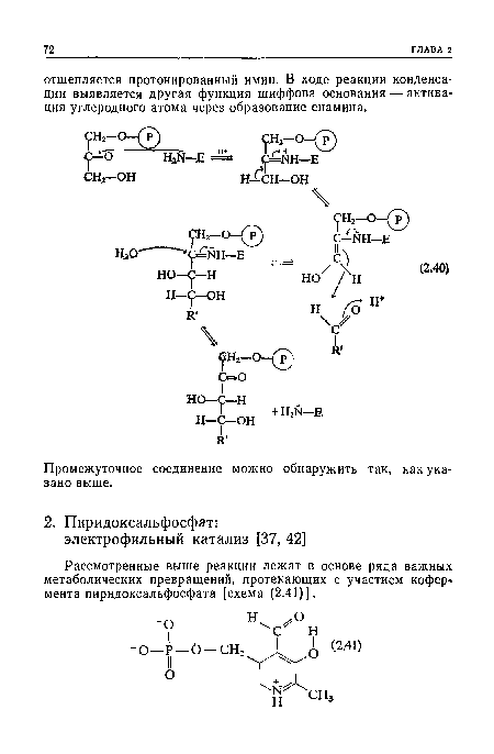 Рассмотренные выше реакции лежат в основе ряда важных метаболических превращений, протекающих с участием кофер-мента пиридоксальфосфата [схема (2.41)].