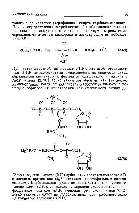 При катализируемой аминоацил-тРНК-синтетазой этерифика-ции тРНК аминокислотами аминокислота активируется путем образования связанного с ферментом смешанного ангидрида с АМР [схема (2.70)] точно таким же образом, как это делает химик-органик, когда он активирует карбоновую кислоту с помощью образования ацилхлорида или смешанного ангидрида.