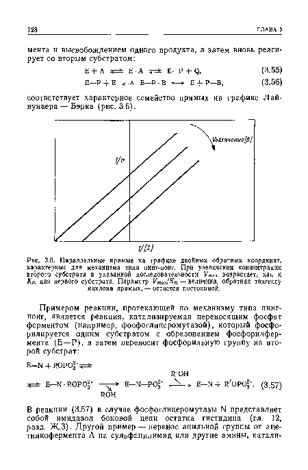 Параллельные прямые на графике двойных обратных координат, характерные для механизма типа пинг-понг. При увеличении концентрации второго субстрата в указанной последовательности Vmsx возрастает, как и Км для первого субстрата. Параметр Утгх/Км — величина, обратная тангенсу наклона прямых, — остается постоянной.