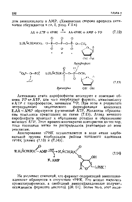 Ацилирование тРНК осуществляется в ходе атаки карбонильной группы карбоксилом рибозы концевого аденозина тРНК схемы (7.13) и (7.14)].