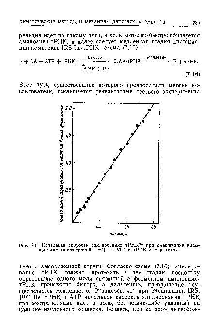 Е + АА + АТР + тРНК - Е.АА-тРНК - Е + тРНК.