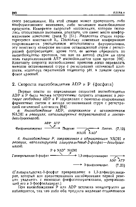 Первые опыты по определению скоростей высвобождения ADP и Р были весьма остроумными: скорость появления в растворе свободных ADP и Р определяли с помощью сопряженных ферментных систем и метода остановленной струи с регистрацией оптической плотности [64].