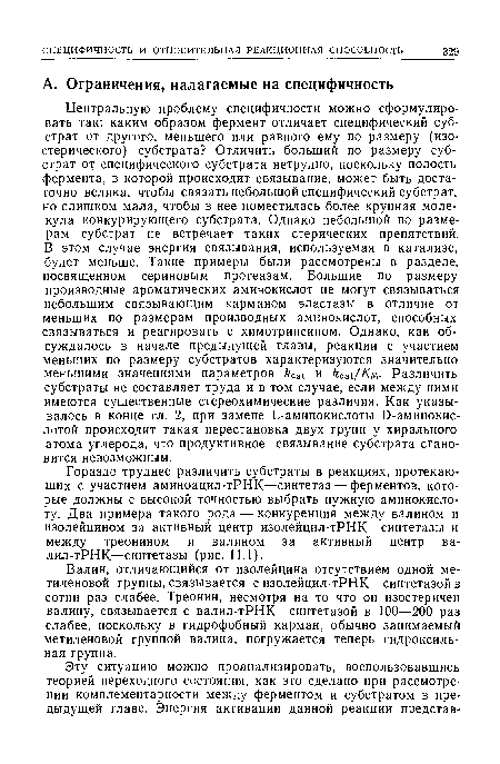 Гораздо труднее различить субстраты в реакциях, протекающих с участием аминоацил-тРНК—синтетаз — ферментов, которые должны с высокой точностью выбрать нужную аминокислоту. Два примера такого рода — конкуренция между валином и изолейцином за активный центр изолейцил-тРНК—синтетазы и между треонином и валином за активный центр ва-лил-тРНК—синтетазы (рис. 11.1).