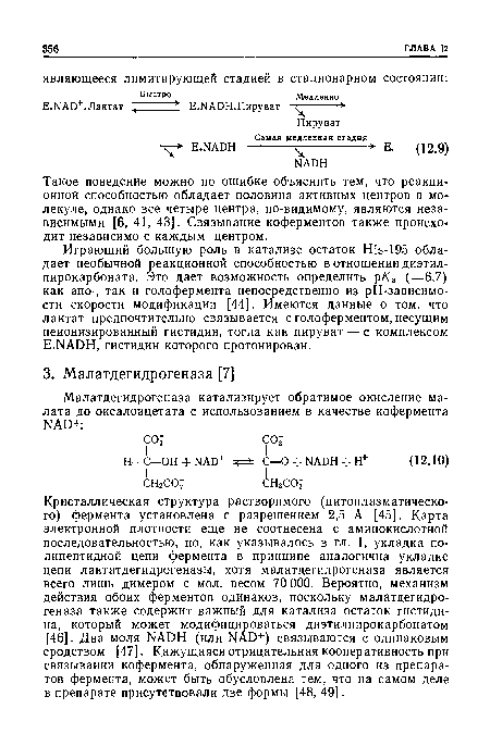 Такое поведение можно по ошибке объяснить тем, что реакционной способностью обладает половина активных центров в молекуле, однако все четыре центра, по-видимому, являются независимыми [6, 41, 43]. Связывание коферментов также происходит независимо с каждым центром.