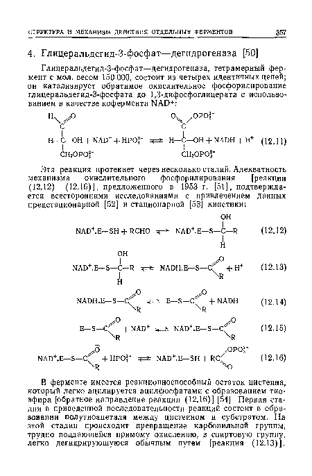 В ферменте имеется реакционноспособный остаток цистеина, который легко ацилируется ацилфосфатами с образованием тио-эфира [обратное направление реакции (12.16)] [54]. Первая стадия в приведенной последовательности реакций состоит в образовании полутиоацеталя между цистеином и субстратом. На этой стадии происходит превращение карбонильной группы, трудно поддающейся прямому окислению, в спиртовую группу, легко дегидрирующуюся обычным путем [реакция (12.13)].
