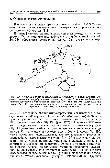 Кинетические и структурные данные позволяют качественно описать механизм ащилирования химотрипсина хорошим поли-пептидным субстратом [81].