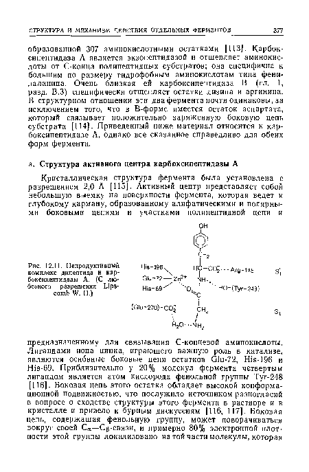 Непродуктивный комплекс дипептида и карбоксипептидазы А. (С любезного разрешения Lipscomb W. Н.)