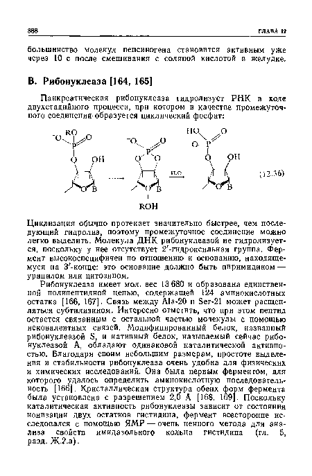 Циклизация обычно протекает значительно быстрее, чем последующий гидролиз, поэтому промежуточное соединение можно легко выделить. Молекула ДНК рибонуклеазой не гидролизуется, поскольку у нее отсутствует 2 -гидроксильная группа. Фермент высокоспецифичен по отношению к основанию, находящемуся на З -конце: это основание должно быть пиримидином — урацилом или цитозином.