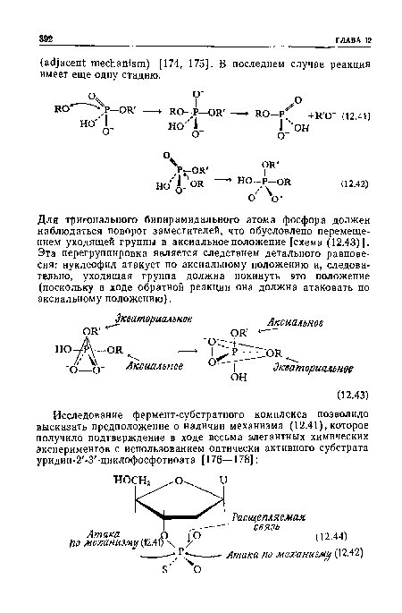 Для тригонального бипирамидального атома фосфора должен наблюдаться поворот заместителей, что обусловлено перемещением уходящей группы в аксиальное положение [схема (12.43)]. Эта перегруппировка является следствием детального равновесия: нуклеофил атакует по аксиальному положению и, следовательно, уходящая группа должна покинуть это положение (поскольку в ходе обратной реакции она должна атаковать по аксиальному положению).