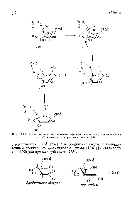 Механизм действия глюкозо-6-фосфат—изомеразы, основанный на данных рентгеноструктурного анализа [252].