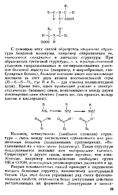 Наконец, четвертичная (наиболее сложная) структура — связь между несколькими одинаковыми или различными белками (называемыми протомерами), объединяющая их в одно целое (олигомер). Такая структура поддерживается ионными или водородными связями. Существуют и другие связи, менее прочные, чем ковалентные, например взаимодействие свободных групп ОН и СООН, неполярных углеводородных радикалов и др.