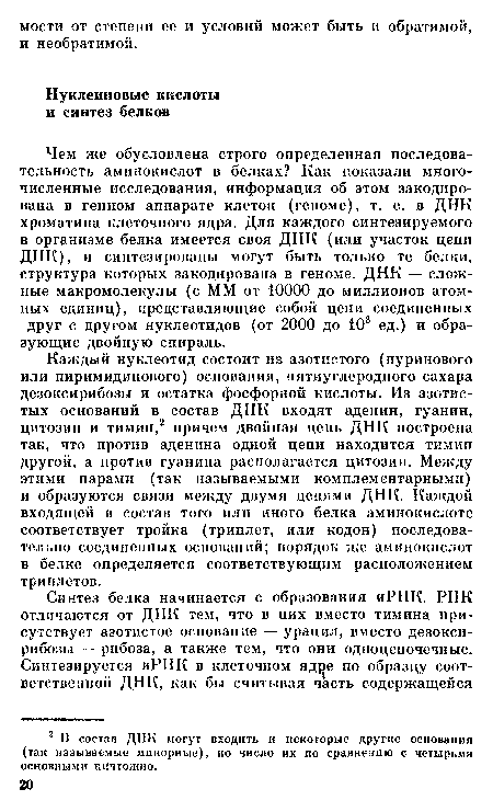 Каждый нуклеотид состоит из азотистого (пуринового или пиримидинового) основания, пятиуглеродного сахара дезоксирибозы и остатка фосфорной кислоты. Из азотистых оснований в состав ДНК входят аденин, гуанин, цитозин и тимин,2 причем двойная цепь ДНК построена так, что против аденина одной цепи находится тимин другой, а против гуанина располагается цитозин. Между этими парами (так называемыми комплементарными) и образуются связи между двумя цепями ДНК. Каждой входящей в состав того или иного белка аминокислоте соответствует тройка (триплет, или кодон) последовательно соединенных оснований; порядок же аминокислот в белке определяется соответствующим расположением триплетов.