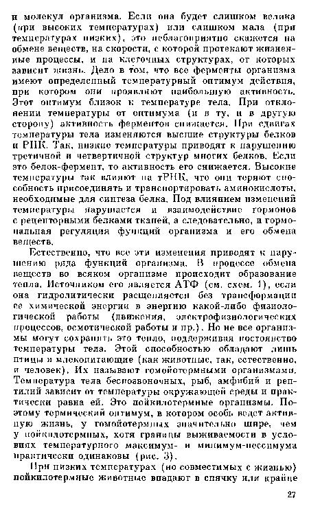 Естественно, что все эти изменения приводят к нарушению ряда функций организма. В процессе обмена веществ во всяком организме происходит образование тепла. Источником его является АТФ (см. схем. 1), если она гидролитически расщепляется без трансформации ее химической энергии в энергию какой-либо физиологической работы (движения, электрофизиологических процессов, осмотической работы и пр.). Но не все организмы могут сохранять это тепло, поддерживая постоянство температуры тела. Этой способностью обладают лишь птицы и млекопитающие (как животные, так, естественно, и человек). Их называют гомойотермными организмами. Температура тела беспозвоночных, рыб, амфибий и рептилий зависит от температуры окружающей среды и практически равна ей. Это пойкилотермные организмы. Поэтому термический оптимум, в котором особь ведет активную жизнь, у гомойотермных значительно шире, чем у пойкилотермных, хотя границы выживаемости в условиях температурного максимум- и минимум-пессимума практически одинаковы (рис. 3).