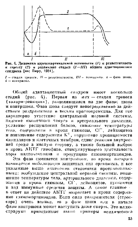 Общий адаптационный синдром имеет несколько стадий (рис. 4). Первая из них — стадия тревоги («аларм-реакция»), разделяющаяся на две фазы: шока и контршока. Фаза шока следует непосредственно за действием раздражителя и весьма кратковременна. Для нее характерно угнетение центральной нервной системы, падение мышечного тонуса и артериального давления, усиление расщепления белков, снижение температуры тела, содержания в крови глюкозы, С1-, лейкоцитов и повышение содержания К+, нарушение проницаемости капилляров и клеточных мембран, сдвиг реакции внутренней среды в кислую сторону, а также большой выброс в кровь АКТГ гипофиза, стимулирующего деятельность коры надпочечников и продукцию глюкокортикоидов.