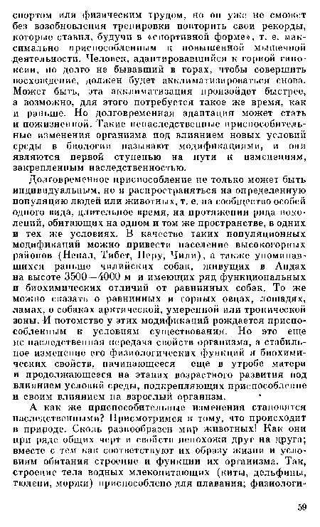 Долговременное приспособление не только может быть индивидуальным, но и распространяться на определенную популяцию людей или животных, т. е. на сообщество особей одного вида, длительное время, на протяжении ряда поколений, обитающих на одном и том же пространстве, в одних и тех же условиях. В качестве таких популяционных модификаций можно привести население высокогорных районов (Непал, Тибет, Перу, Чили), а также упоминавшихся раньше чилийских собак, живущих в Андах на высоте 3500—4000 м и имеющих ряд функциональных и биохимических отличий от равнинных собак. То же можно сказать о равнинных и горных овцах, лошадях, ламах, о собаках арктической, умеренной или тропической зоны. И потомство у этих модификаций рождается приспособленным к условиям существования. Но это еще не наследственная передача свойств организма, а стабильное изменение его физиологических функций и биохимических свойств, начинающееся еще в утробе матери и продолжающееся на этапах возрастного развития под влиянием условий среды, подкрепляющих приспособление и своим влиянием на взрослый организм.