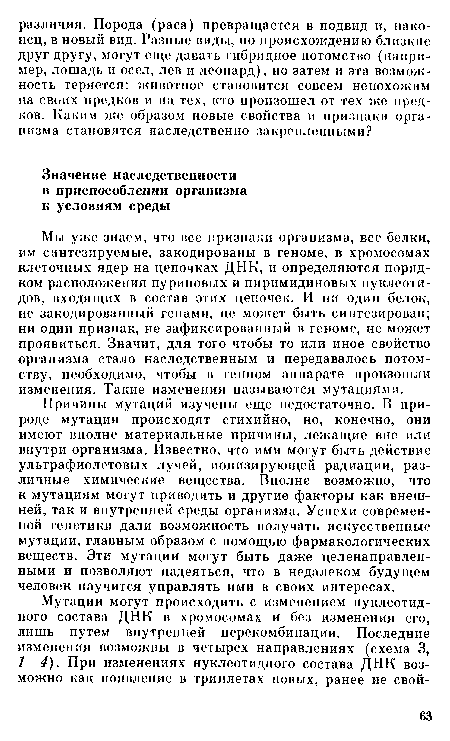 Причины мутаций изучены еще недостаточно. В природе мутации происходят стихийно, но, конечно, они имеют вполне материальные причины, лежащие вне или внутри организма. Известно, что ими могут быть действие ультрафиолетовых лучей, ионизирующей радиации, различные химические вещества. Вполне возможно, что к мутациям могут приводить и другие факторы как внешней, так и внутренней среды организма. Успехи современной генетики дали возможность получать искусственные мутации, главным образом с помощью фармакологических веществ. Эти мутации могут быть даже целенаправленными и позволяют надеяться, что в недалеком будущем человек научится управлять ими в своих интересах.