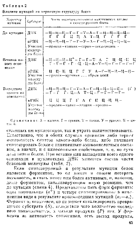 П р а м е ч а н и е. А — адсшш, Г — гуанин, Т — тимин, У — урацкл, Ц — ци-тэз. п.