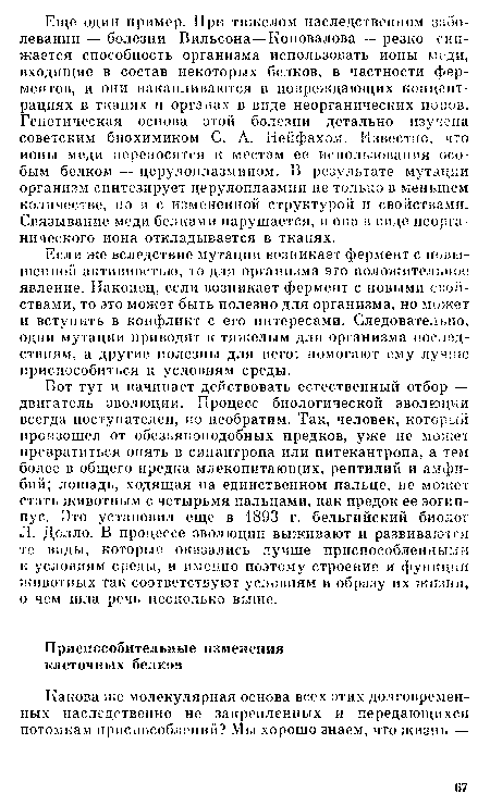 Вот тут и начинает действовать естественный отбор — двигатель эволюции. Процесс биологической эволюции всегда поступателен, но необратим. Так, человек, который произошел от обезьяноподобных предков, уже не может превратиться опять в синантропа или питекантропа, а тем более в общего предка млекопитающих, рептилий и амфибий; лошадь, ходящая на единственном пальце, не может стать животным с четырьмя пальцами, как предок ее эогип-пус. Это установил еще в 1893 г. бельгийский биолог Л. Долло. В процессе эволюции выживают и развиваются те виды, которые оказались лучше приспособленными к условиям среды, и именно поэтому строение и функции животных так соответствуют условиям и образу их жизни, о чем шла речь несколько выше.