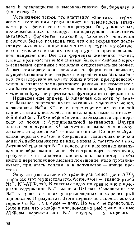 Установлено также, что адаптация животных к термическим изменениям среды влияет на зависимость активности ряда ферментов от температуры. Так, у животных, приспособленных к холоду, температурная зависимость активности ферментов гликолиза, аэробного окисления и синтеза белков изменена так, что они сохраняют достаточную активность и при низких температурах, а у обитающих в условиях высоких температур — в противоположном направлении. Все эти ферменты жизненно важны, так как при недостаточном синтезе белков и слабом энергообеспечении организм нормально существовать не может. А вот температурная зависимость ферментов лизосом, осуществляющих как гидролиз поврежденных макромолекул, так и переваривание погибших клеток, при приспособлении к сдвигам температурного режима не изменяется. Для благополучия организма не столь опасно, быстрее или медленнее будут осуществлены функции этих ферментов.