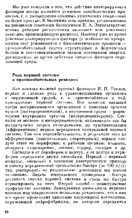 Как показал великий русский физиолог И. П. Павлов, первая и главная роль в уравновешивании организма с окружающей средой, т. е. приспособление к ней, принадлежит нервной системе. Все влияния внешней среды воспринимаются организмом с помощью органов чувств (экстерорецепторов), а внутренней среды — рецепторами внутренних органов (интерорецепторами). Сигналы от экстеро- и интерорецепторов, являющихся как бы выдвинутыми вперед разведчиками, по чувствительным (афферентным) нервам передаются центральной нервной системе. Там они перерабатываются, в результате чего по эфферентным (двигательным, секреторным) нервам следует ответ на периферию, к рабочим органам: мышцам, аппарату пищеварения, легким, сердцу, сосудам и др.