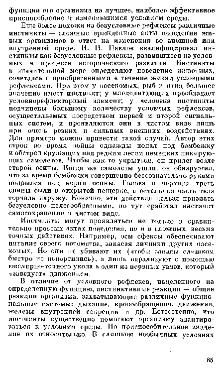 Еще более похожи на безусловные рефлексы различные инстинкты — сложные врожденные акты поведения живых организмов в ответ на изменения во внешней или внутренней среде. И. П. Павлов квалифицировал инстинкты как безусловные рефлексы, развившиеся из условных в процессе исторического развития. Инстинкты в значительной мере определяют поведение животных, сочетаясь с приобретенными в течение жизни условными рефлексами. При этом у насекомых, рыб и птиц большее значение имеет инстинкт; у млекопитающих преобладает условнорефлекторный элемент; у человека инстинкты подчинены большому количеству условных рефлексов, осуществляемых посредством первой и второй сигнальных систем, и проявляются они в чистом виде лишь при очень резких и сильных внешних воздействиях. Для примера можно привести такой случай. Автор этих строк во время войны однажды попал под бомбежку и обстрел кружащих над редким лесом немецких пикирующих самолетов. Чтобы как-то укрыться, он прилег возле старой осины. Когда же самолеты ушли, он обнаружил, что за время бомбежки совершенно бессознательно руками подрылся под корни осины. Голова и верхняя треть спины были в открытой пещерке, а остальная часть тела торчала наружу. Конечно, эти действия нельзя признать безусловно целесообразными, но тут сработал инстинкт самосохранения в чистом виде.