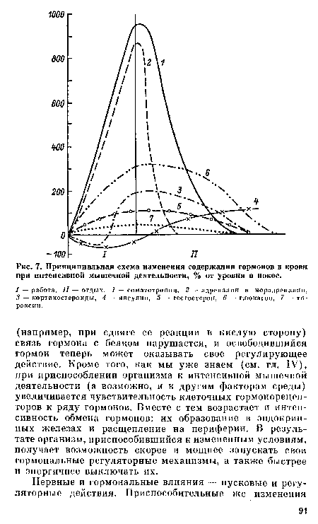 Принципиальная схема изменения содержания гормонов в крови при интенсивной мышечной деятельности, % от уровня в покое.