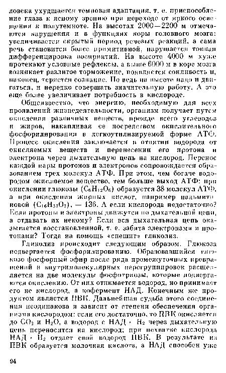 Общеизвестно, что энергию, необходимую для всех проявлений жизнедеятельности, организм получает путем окисления различных веществ, прежде всего углеводов и жиров, накапливая ее посредством окислительного фосфоридирования в легкоутилизируемой форме АТФ. Процесс окисления заключается в отнятии водорода от окисляемых веществ и перенесении его протона и электрона через дыхательную цепь на кислород. Перенос каждой пары протонов и электронов сопровождается образованием трех молекул АТФ. При этом, чем богаче водородом окисляемое вещество, тем больше выход АТФ: при окислении глюкозы (СбН Об) образуется 38 молекул АТФ, а при окислении жирных кислот, например пальмитиновой (С16Н32О2), — 136. А если кислорода недостаточно? Если протоны и электроны движутся по дыхательной цепи, а отдавать их некому? Если вся дыхательная цепь оказывается восстановленной, т. е. забита электронами и протонами? Тогда на помощь «спешит» гликолиз.