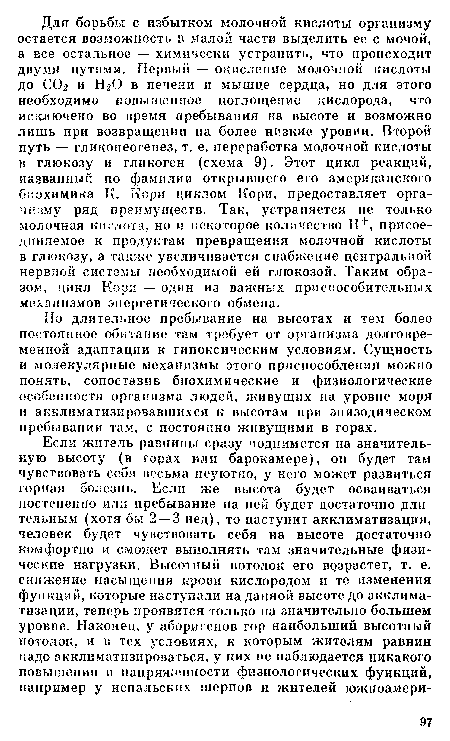 Но длительное пребывание на высотах и тем более постоянное обитание там требует от организма долговременной адаптации к гипоксическим условиям. Сущность и молекулярные механизмы этого приспособления можно понять, сопоставив биохимические и физиологические особенности организма людей, живущих на уровне моря и акклиматизировавшихся к высотам при эпизодическом пребывании там, с постоянно живущими в горах.