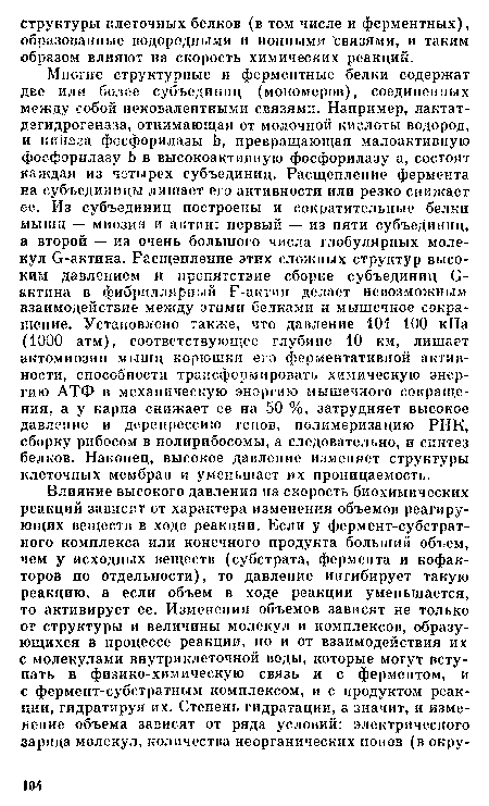 Многие структурные и ферментные белки содержат две или более субъединиц (мономеров), соединенных между собой иековалентными связями. Например, лактат-дегидрогеназа, отнимающая от молочной кислоты водород, и киназа фосфорилазы Ь, превращающая малоактивную фосфорилазу Ь в высокоактивную фосфорилазу а, состоят каждая из четырёх субъединиц. Расщепление фермента на субъединицы лишает его активности или резко снижает ее. Из субъединиц построены и сократительные белки мышц — миозин и актин: первый — из пяти субъединиц, а второй — из очень большого числа глобулярных молекул й-актина. Расщепление этих сложных структур высоким давлением и препятствие сборке субъединиц О-актина в фибриллярный Е-актин делает невозможным взаимодействие между этими белками и мышечное сокращение. Установлено также, что давление 101 100 кПа (1000 атм), соответствующее глубине 10 км, лишает актомиозин мышц корюшки его ферментативной активности, способности трансформировать химическую энергию АТФ в механическую энергию мышечного сокращения, а у карпа снижает ее на 50 %, затрудняет высокое давление и дерепрессию генов, полимеризацию РНК, сборку рибосом в полирибосомы, а следовательно, и синтез белков. Наконец, высокое давление изменяет структуры клеточных мембран и уменьшает их проницаемость.