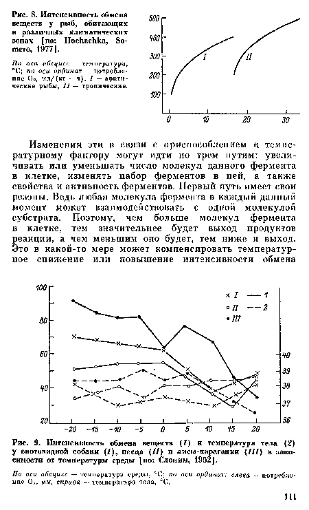 По оси абсцисс — температура, °С; по оси ординат — потребление Ог, мл/(кг • ч). / — арктические рыбы, II — тропические.