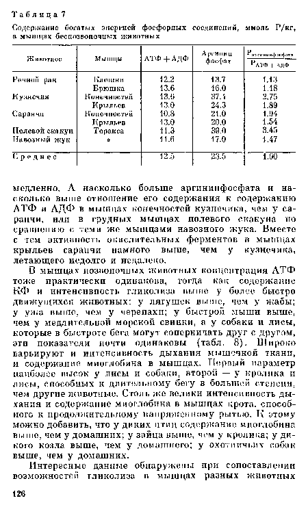 В мышцах позвоночных животных концентрация АТФ тоже практически одинакова, тогда как содержание КФ и интенсивность гликолиза выше у более быстро движущихся животных: у лягушек выше, чем у жабы; у ужа выше, чем у черепахи; у быстрой мыши выше, чем у медлительной морской свинки, а у собаки и лисы, которые в быстроте бега могут соперничать друг с другом, эти показатели почти одинаковы (табл. 8). Широко варьируют и интенсивность дыхания мышечной ткани, и содержание миоглобина в мышцах. Первый параметр наиболее высок у лисы и собаки, второй — у кролика и лисы, способных к длительному бегу в большей степени, чем другие животные. Столь же велики интенсивность дыхания и содержание миоглобина в мышцах крота, способного к продолжительному напряженному рытью. К этому можно добавить, что у диких птиц содержание миоглобина выше, чем у домашних; у зайца выше, чем у кролика; у дикого козла выше, чем у домашнего; у охотничьих собак выше, чем у домашних.