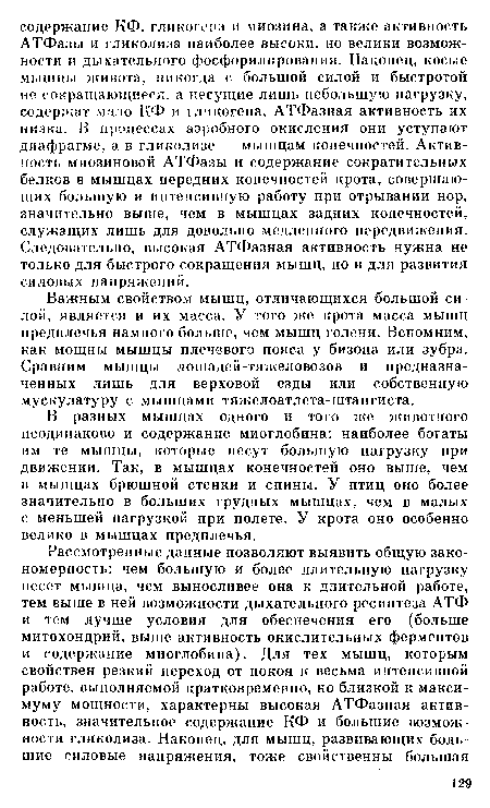 Важным свойством мышц, отличающихся большой силой, является и их масса. У того же крота масса мышц предплечья намного больше, чем мышц голени. Вспомним, как мощны мышцы плечевого пояса у бизона или зубра. Сравним мышцы лошадей-тяжеловозов и предназначенных лишь для верховой езды или собственную мускулатуру с мышцами тяжелоатлета-штангиста.