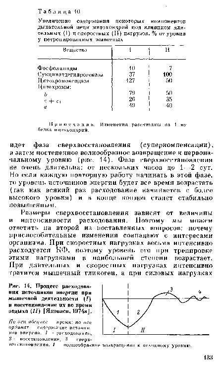 Процесс расходования источников энергии при мышечной деятельности (/) и восстановление их во время отдыха (//) [Яковлев, 1974а].