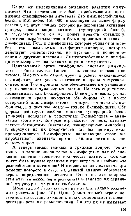 А теперь самый важный и трудный вопрос: достаточно ли велико число генов в лимфоцитах для обеспечения синтеза огромного количества антител, которые могут быть нужны организму при встрече с необъятным разнообразием антигенов? И второй: каков механизм, при помощи которого в ответ на данный антиген образуется строго определенное антитело? Ответ на эти вопросы стал отчасти возможен в результате установления первичной структуры иммунных глобулинов.