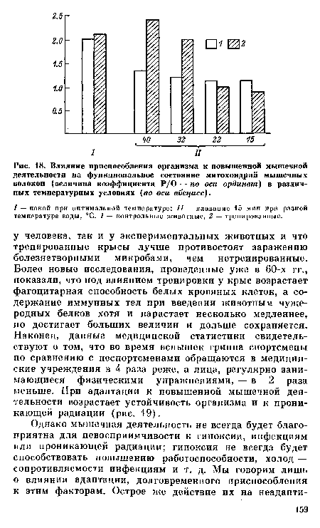 Влияние приспособления организма к повышенной мышечной деятельности на функциональное состояние митохондрий мышечных волокон (величина коэффициента Р/О — по оси ординат) в различных температурных условиях (по оси абсцисс),