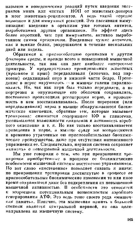 Обратимся к приспособлению организма к другим факторам среды, и прежде всего к повышенной мышечной деятельности, так как она дает наиболее интересные примеры. У предварительно тренированных животных (кроликов и крыс) передавливали (конечно, под наркозом) седалищный нерв в нижней части бедра. Проведение в нерве нарушалось — и мышцы голени парализовались. Но, так как нерв был только передавлен, а не перерезан и окружающие его оболочки сохранялись, постепенно происходила регенерация нерва, и проводимость в нем восстанавливалась. После перерезки (или передавливания) нерва в мышце обнаруживаются биохимические изменения, обратные тем, которые вызывает тренировка: снижается содержание КФ и гликогена, уменьшаются возможности гликолиза и активность аэробного окисления и т. п. Но как только восстанавливается проведение в нерве, в мышце сразу же возвращаются и временно утраченные ею приспособительные биохимические преимущества, даже при отсутствии интенсивного упражнения ее. Следовательно, нервная система сохраняет «память» о повышенной мышечной деятельности.