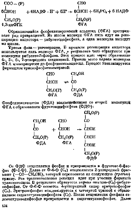 Образовавшийся фосфоглицериновый альдегид (ФГА) претерпевает ряд превращений. Из шести молекул ФГА пять идут ва регенерацию акцептора — рибулезодифосфата, а одна молекула выходит из цикла.