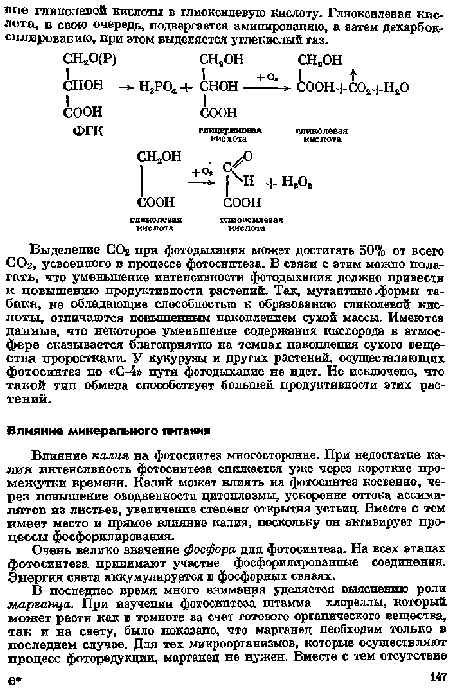 Влияние калия на фотосинтез многосторонне. При недостатке калия интенсивность фотосинтеза снижается уже через короткие промежутки времени. Калий может влиять на фотосинтез косвенно, через повышение оводненности цитоплазмы, ускорение оттока ассими-лятов из листьев, увеличение степени открытия устьиц. Вместе с тем имеет место и пряное влияние калия, поскольку он активирует процессы фосфорилирования.