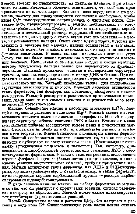 Кальций повышает вязкость цитоплазмы, что видно на опытах с формами плазмолиза. В солях кальция плазмолиз имеет вогнутую форму, так как более вязкая цитоплазма с трудом отстает от клеточных оболочек. Кальциевая соль лецитнпа входит в состав мембран, поэтому присутствие кальция важно для нормального их функционирования. Кальций принимает участие в поддержании структуры хромосом, являясь связующим звеном между ДНК и белком. Про недостатке кальдия наблюдаются повреждение хромосом и нарушение митотического цикла. Кальций необходим также для поддержания структуры митохондрий и рибосом. Кальций является активатором таких ферментов, как фосфорилаза, адепозиптрифосфатаза и некоторые другие. Кальций реагирует с различными органическими кислотами, давая соли, и тем самым является в определенной мере регулятором pH клеточного сока.