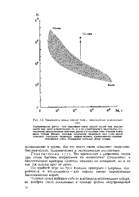 Зависимость между массой тела и численностью млекопитающих.