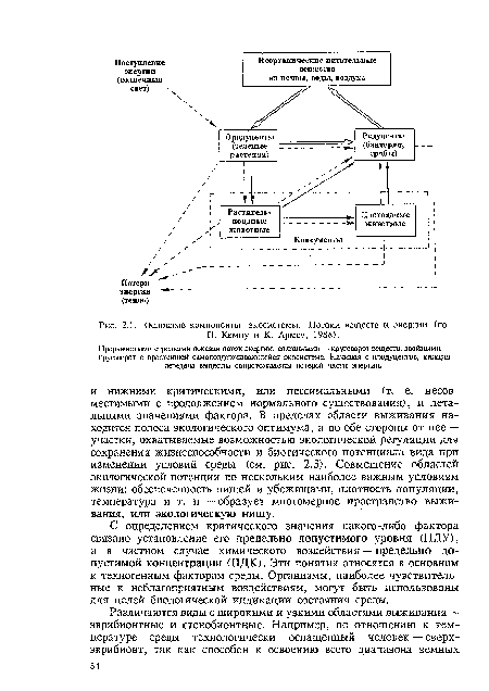 Основные компоненты экосистемы. Потоки веществ и энергии (по П. Кемпу и К. Лрмсу, 1988).