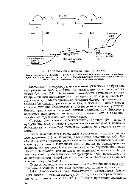 Следует подчеркнуть три важные особенности биотического круговорота, связанные с его количественными характеристиками.