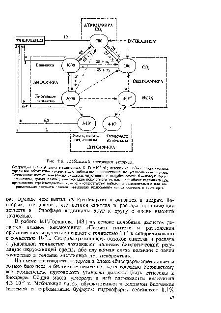 В работе В.Г.Горшкова [43 ] на основе подобных расчетов делается важное заключение: «Потоки синтеза и разложения органических веществ совпадают с точностью 10 4 и скоррелированы с точностью 10-7... Скоррелированность потоков синтеза и распада с указанной точностью доказывает наличие биологической регуляции окружающей среды, ибо случайная связь величин с такой точностью в течение миллионов лет невероятна».